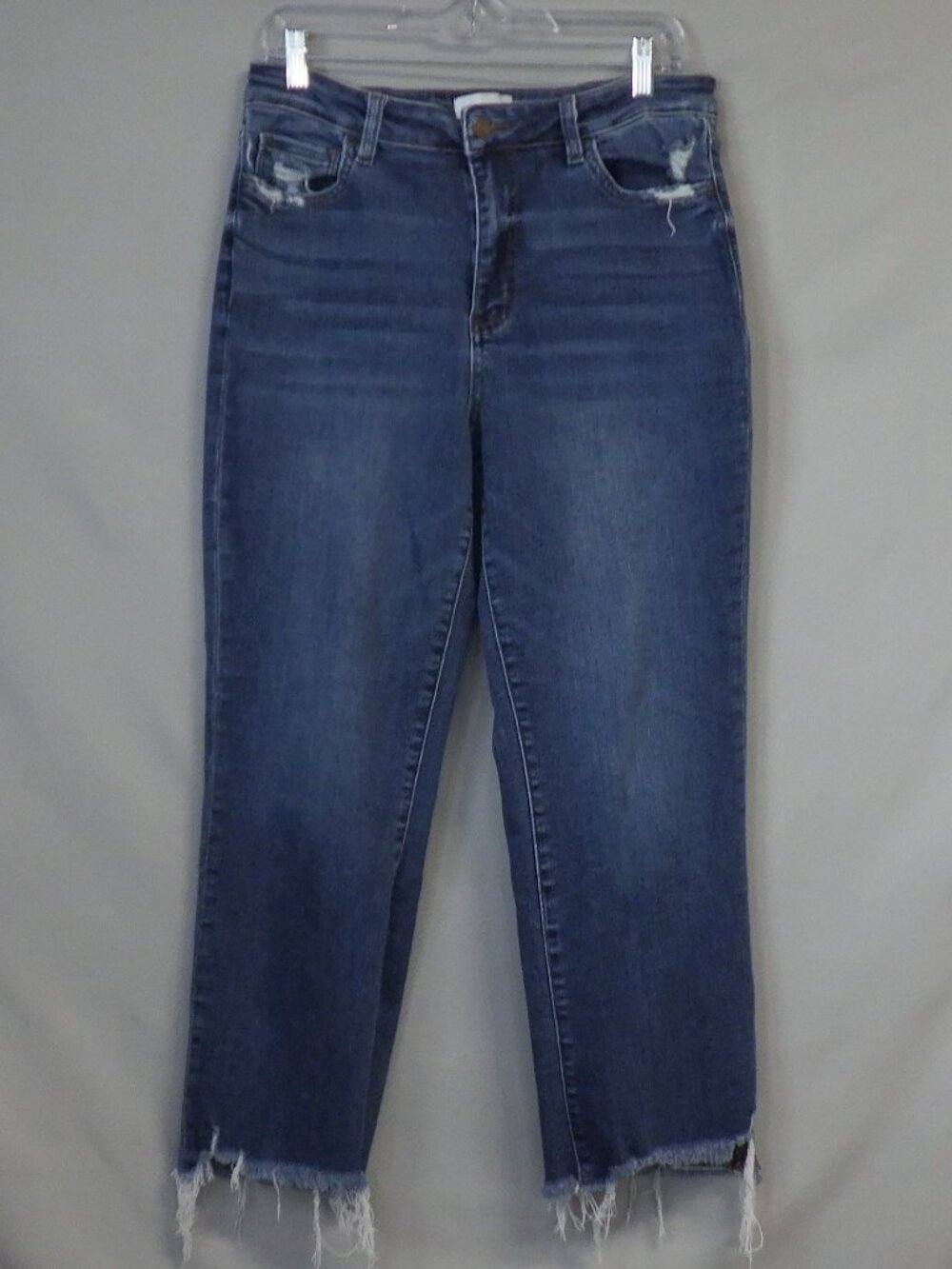 Vervet High Rise Blue Jeans
